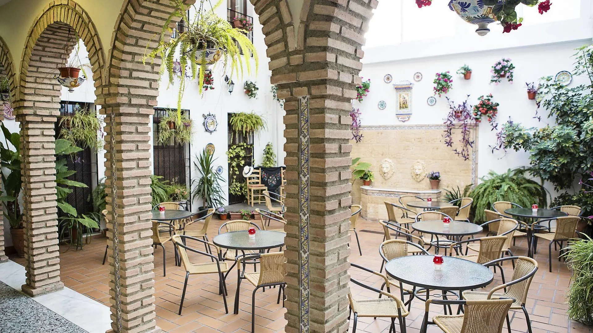 Hotel De Los Faroles Córdova